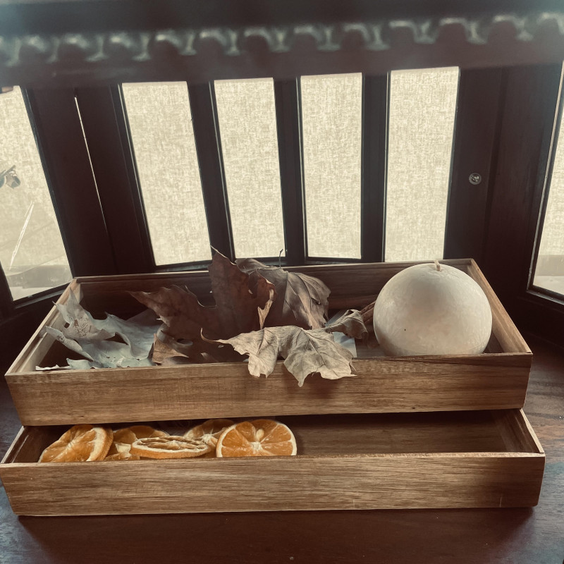 ΔΙΣΚΟΣ ΟΡΓΑΝΩΣΗΣ ΑΚΑΚΙΑΣ 37.5Χ15Χ5CM