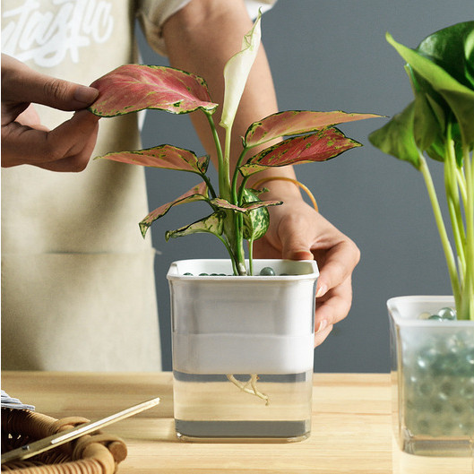 Υδροπονική Έξυπνη Γλάστρα