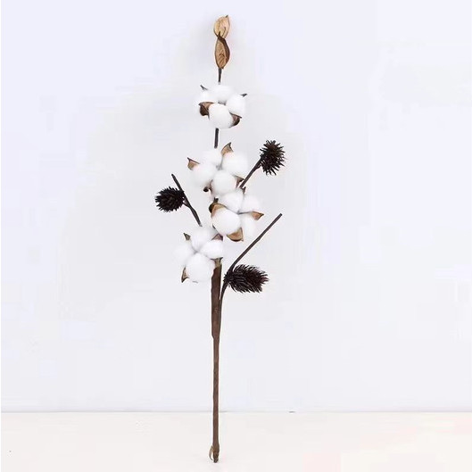 ΛΟΥΛΟΥΔΙ "Cotton"