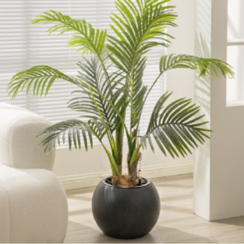 Γλάστρα "Circle S"