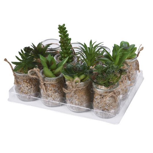 Κάκτος σε Γυάλινο Γλαστράκι Α ΣΕΤ/2